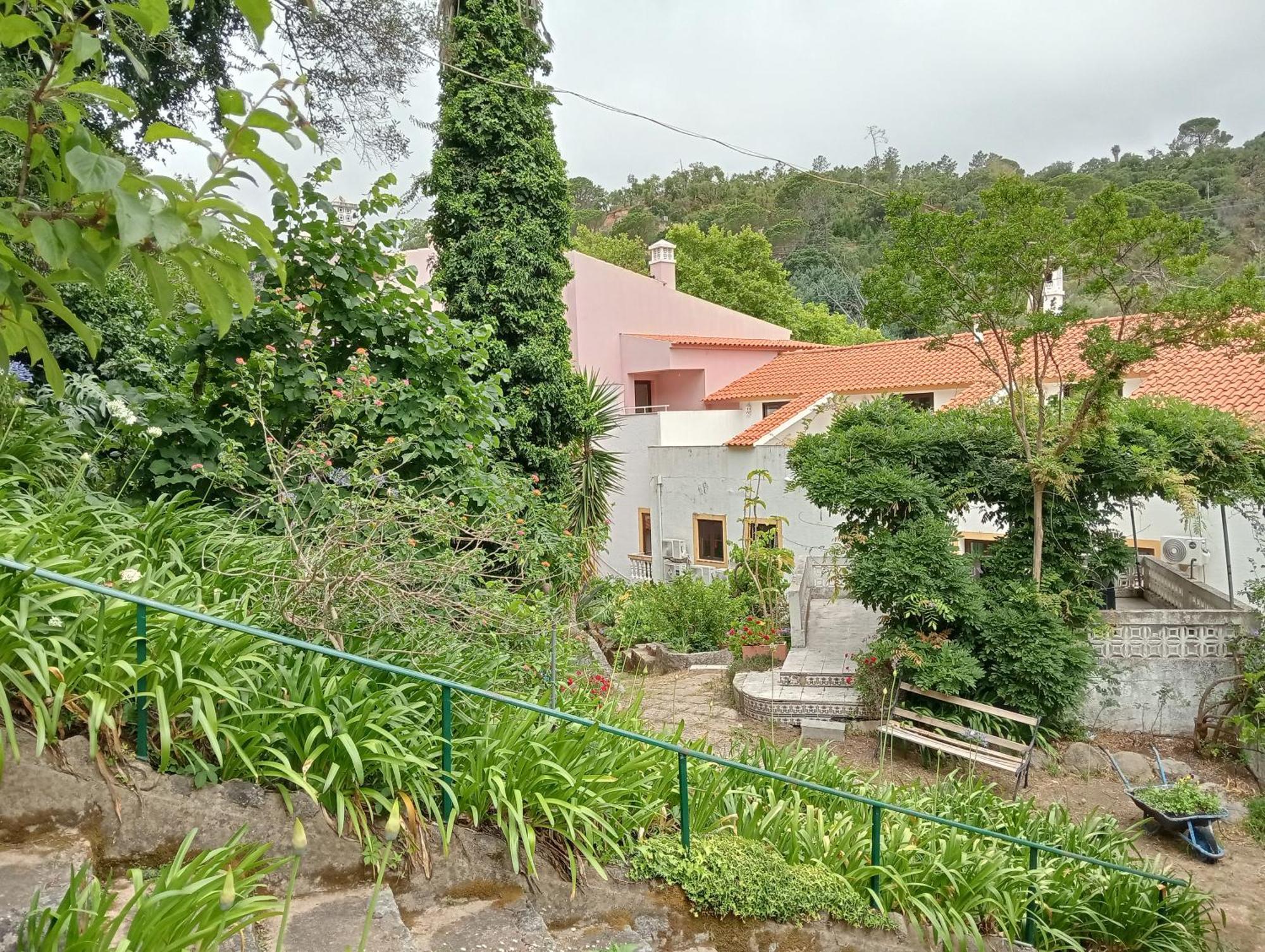 Albergaria Do Lageado มอนชีเก ภายนอก รูปภาพ